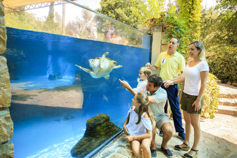 Jardines - Tortugas - Familia - 868
