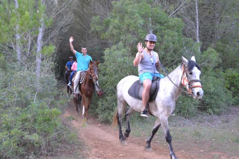 Las mejores excursiones y actividades de Alcudia